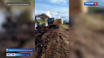 ������ �� �����������: �� ��������� ������ �������� � �������� ������ ��������� ����� 44 ��������� ������ �� ��������� ����� �������