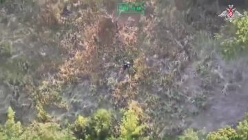 ���������� ������: ������������� ������ ����������� ����� ���������� ���������� ����� �������� �������� �������� ����������