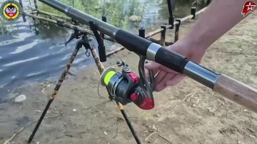 ������� ����, ��������, ����������� ������ �����