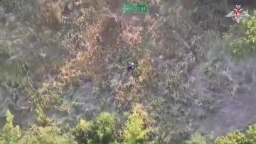 �� �� ���������� ���������� ����� ��������� � ���