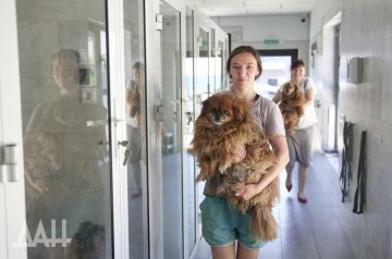 После приюта: в донецких «Четырех лапках» рассказали о первых заботах хозяина