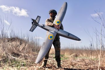 ������� �������: HORNET: ������ ����������� ������ � ���� �������� ������