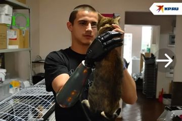 «Долгое время одна жила в разрушенном доме»: ветеран СВО Виктор Москалев взял из приюта кошку, эвакуированную из Авдеевки