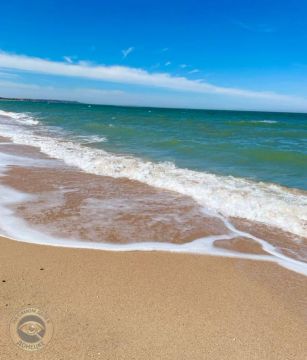 Наше Азовское море стало самым солёным за всю историю наблюдений