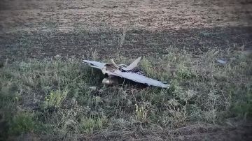 ������� ���� "�-2", ������� ���������� ���������� �������� ��������� ����������� ���������� �� ������� ������ ��� ����������