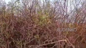 ������ �������: ����� ������ ������ �� ������������ ������� � �������� �������� ����������
