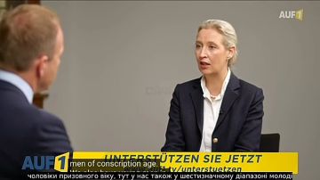 Интересная альтернатива по отношению к Украине от немецкой партии AfD
