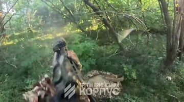 Молчание прервано: террорист Билецкий подтвердил наступление ВСУ на севере ДНР