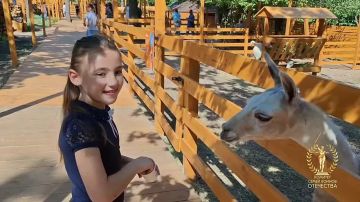 Теплый день в парке «Симба»: семьи защитников обнимают альпак!