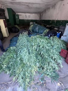 ������ ������� ������ �������� � ���������� ������� ����������, ��������, ��������� � ������ �����