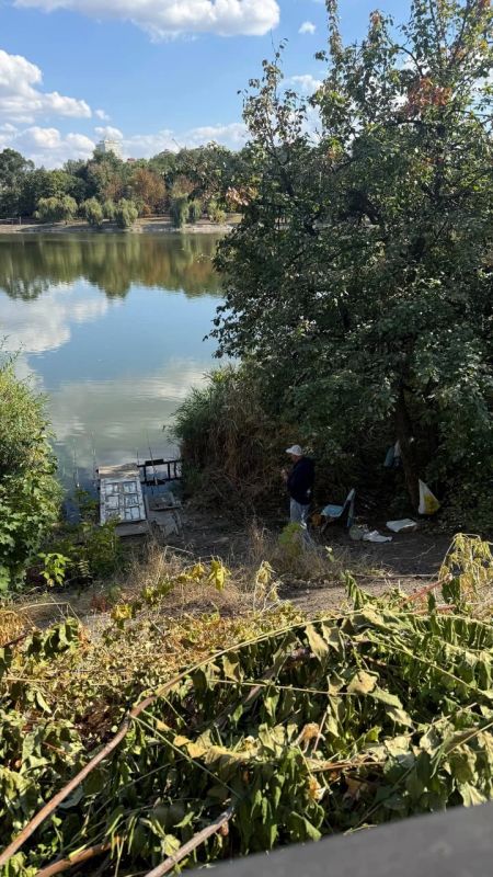 Донецкие рыбаки обустроили себе «место силы» в камышах на Набережной