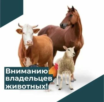 Регистрация сельскохозяйственных животных: что нужно знать владельцам