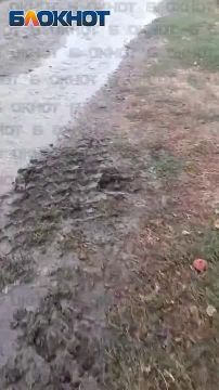 ��� ��� � ��� ��������: �� �������� � ������� ���������� ���� ���������� ���� ������ � ����������� �����