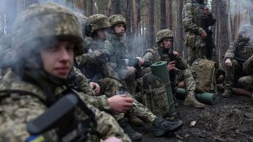 Какие регионы России ВСУ в августе атаковали чаще всего: в МИД РФ их перечислили
