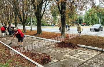 Сотрудники учреждений спорта приняли участие в акции «Чистый четверг»
