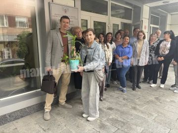 Сотрудники Департамента капитального строительства администрации г.о. Донецк в рамках федерального партийного проекта «Зелёная экономика» приняли участие в мастер-классе по высадке и уходу за комнатными растениями