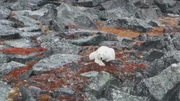 Доброе утро!. И сразу к хорошим новостям