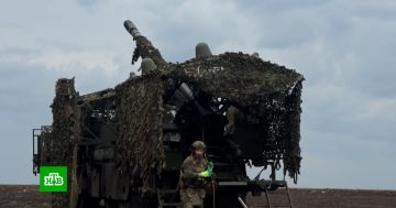 Российские бойцы разнесли замаскированные в лесу пункты временной дислокации ВСУ