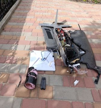 Сбитый сводными МОГами дрон "Hornet" под Волновахой