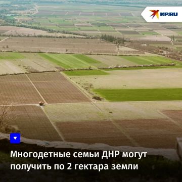 Многодетные семьи ДНР могут получить по 2 гектара земли