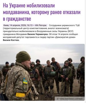 Въезд свободный, выезд — вперед ногами