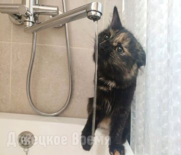 � ����� � ��������� ��������: 30 �������� ������ ����������� ����������� � ������� ��������� ��� ����