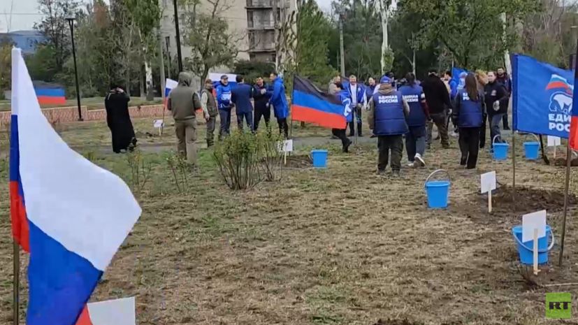 В Донецке высадили 22 берёзы ко Дню воссоединения с Россией