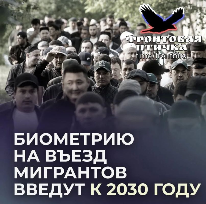 В России планируют ввести биометрию на въезд для мигрантов