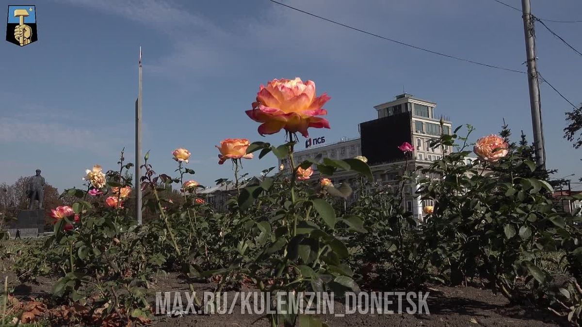 Алексей Кулемзин: В каждом опавшем листе — маленькая история, а в каждом уголке осеннего Донецка — своя тихая красота!
