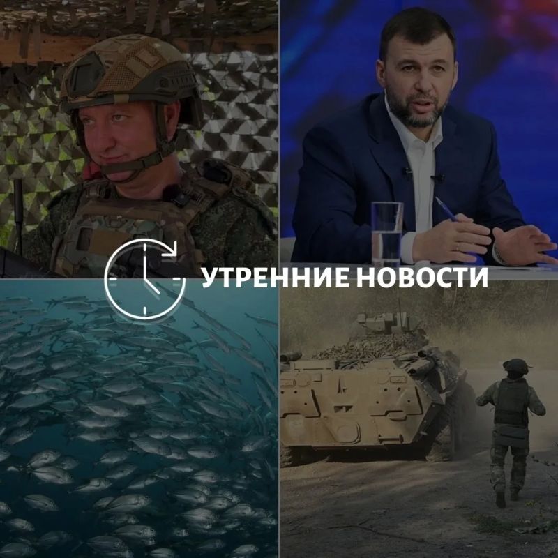 Главные новости в Донецке на этот час — что происходит в городе и республике: