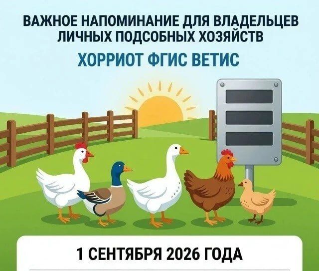Иван Адамец: Внимание владельцам птицы и кроликов! С 1 сентября 2026 года, если в хозяйстве больше 10 голов, их нужно поставить на учет в ФГИС «ВетИС» (компонент «Хорриот»)
