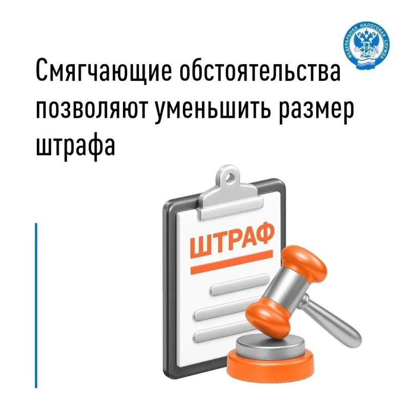 Иван Адамец: При выявлении правонарушений в ходе проведения камеральных и выездных проверок налоговый орган может привлечь плательщика к ответственности